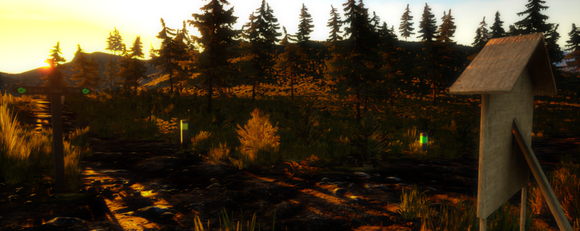 Fire Lookout update